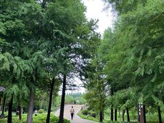 -同里国家湿地公园
