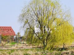 -广富林郊野公园