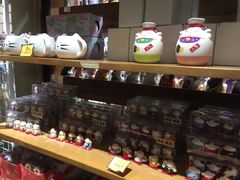 -猫咪博物馆(顶澳仔猫街店)