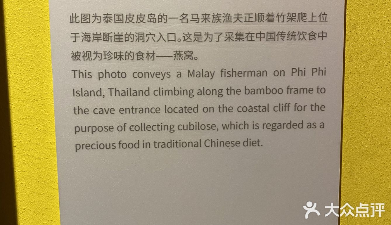 打卡·国家地理影像展