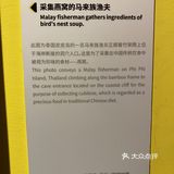 打卡·国家地理影像展
