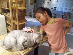 -小时光咖啡馆(开森度假森林店)