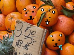 -东川新街市(东川市场店)