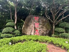 -野狸岛