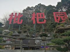 -枇杷园食为鲜火锅(南山店)