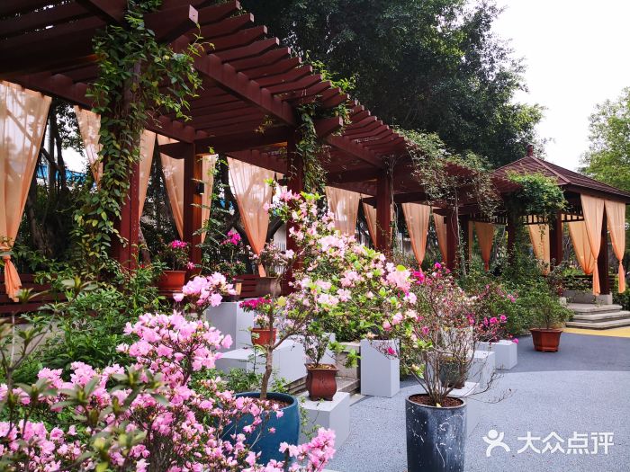 琴亭湖公园图片