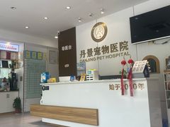 -丹景宠物医院·全科·老年病·牙科(武昌诊疗中心)