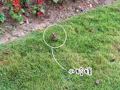 -杭州城北体育公园