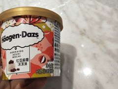 -哈根达斯(皇城恒隆广场店)