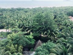 -三亚湾海居铂尔曼度假酒店