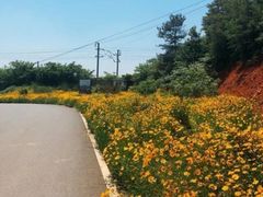 -青龙山国家森林公园