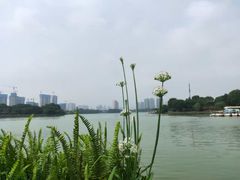 -时间仓(月湖公园店)