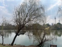 -南通濠河风景名胜区