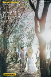 -四叶草环球旅拍