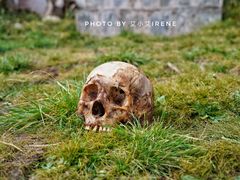 -比如骷髅墙景区