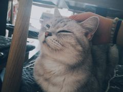 -平行世界·猫咖(首经贸店)