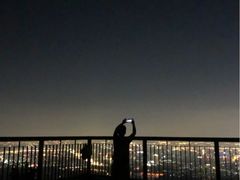 -紫金山山顶公园
