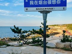 -海岛日记(养马岛店)