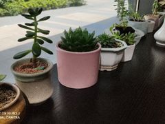 -大漂亮照相馆(宝龙一期店)