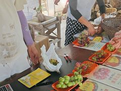 -马陆小张葡萄园农家乐