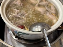 五指毛桃药膳鸽-鸽鸟轩(石岐店)