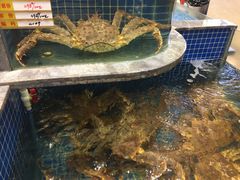 -骏莱海鲜鱼港(五角场店)
