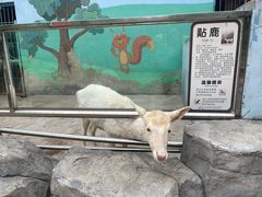 -南京珍珠泉风景区