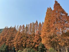 -宁波市保国寺古建筑博物馆