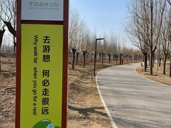 -东郊湿地公园