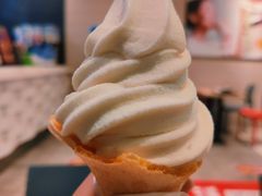 豆浆冰淇淋-永和大王(浦东南路店)