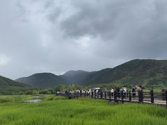 -泸沽湖国家级风景名胜区走婚桥