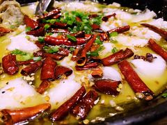 -九毛九西北菜(百信广场店)