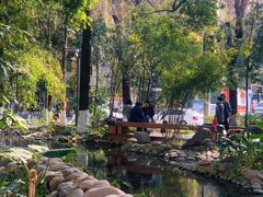 -成都市活水公园