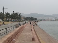 -幸福门