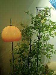 -变美丽半永久纹眉连锁·机器野生眉•洗眉