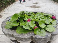 -北京石刻艺术博物馆(五塔寺)