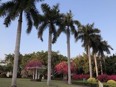 -白鹭洲公园