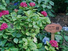 -常州古运河南大街文化旅游区-人民公园