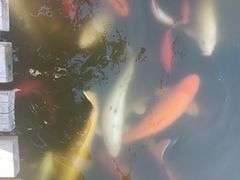 -月牙潭公园