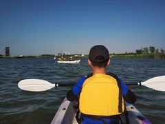 -春花秋色城市公园