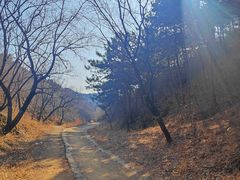 -蟠龙山长城景区