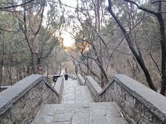 -千佛山风景名胜区