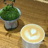 兴化特色下午茶 觅素咖啡☕打卡ding～