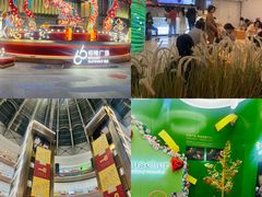 -港汇恒隆广场