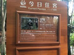 导游图-成都大熊猫繁育研究基地