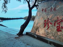 -珍宝岛