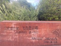 -飞凤山奥体公园
