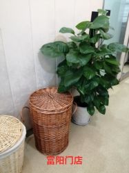 -Yestar杭州艺星医疗美容医院
