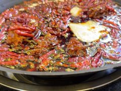 -肥龙火锅(南坪店)