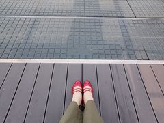 -滨州铁路桥